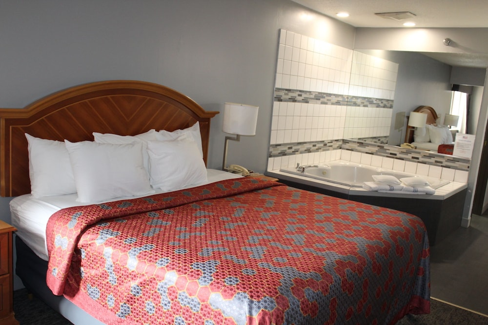 American Inn and Suites Ionia - photo 10