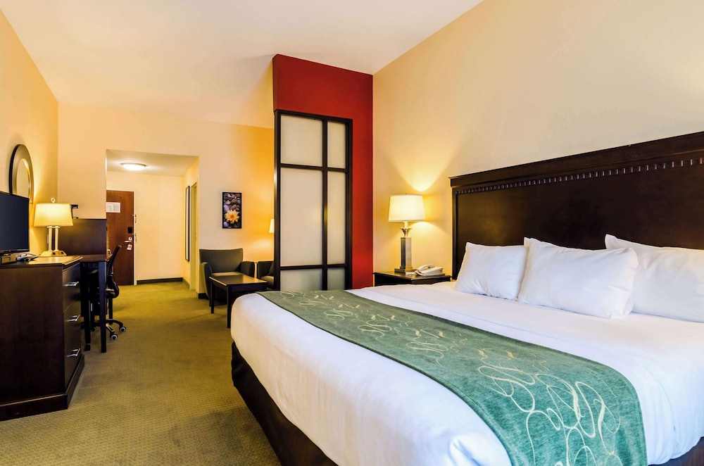 Comfort Suites Gothenburg - photo 5