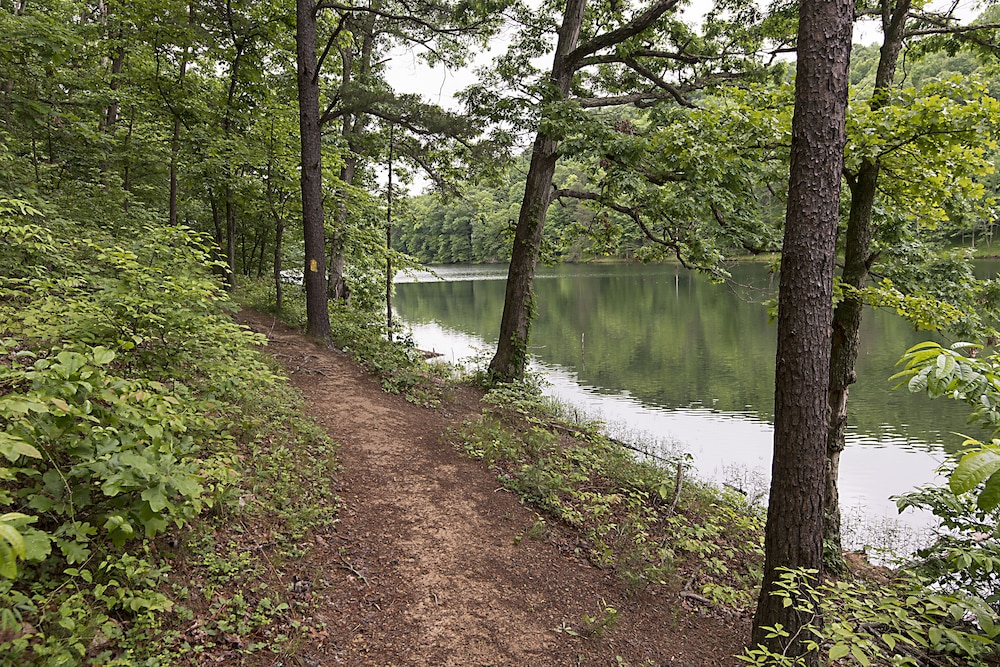 Greenbo Lake State Resort Park - photo 19