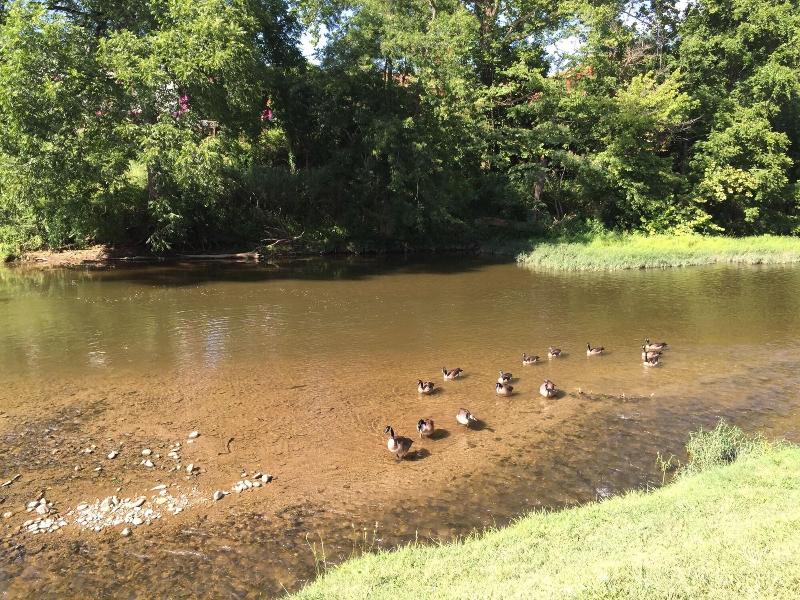 Pigeon River Inn - photo 2