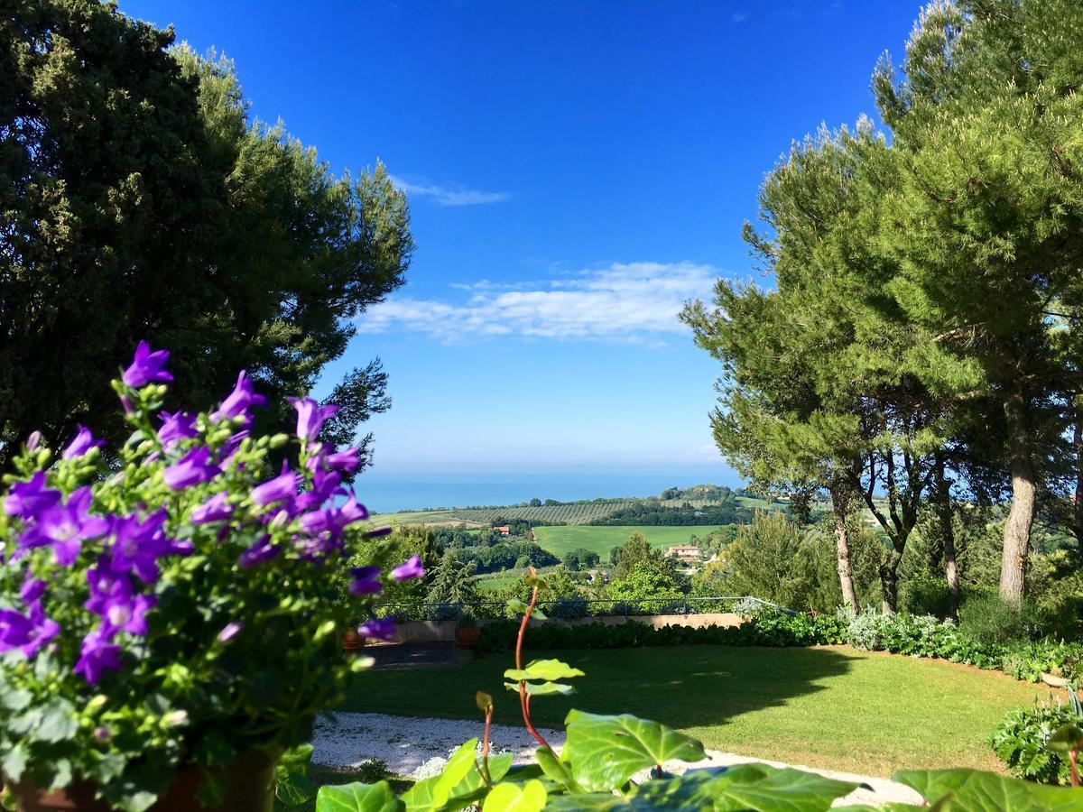 Il Colle delle Terrazze — Fano — photo 3