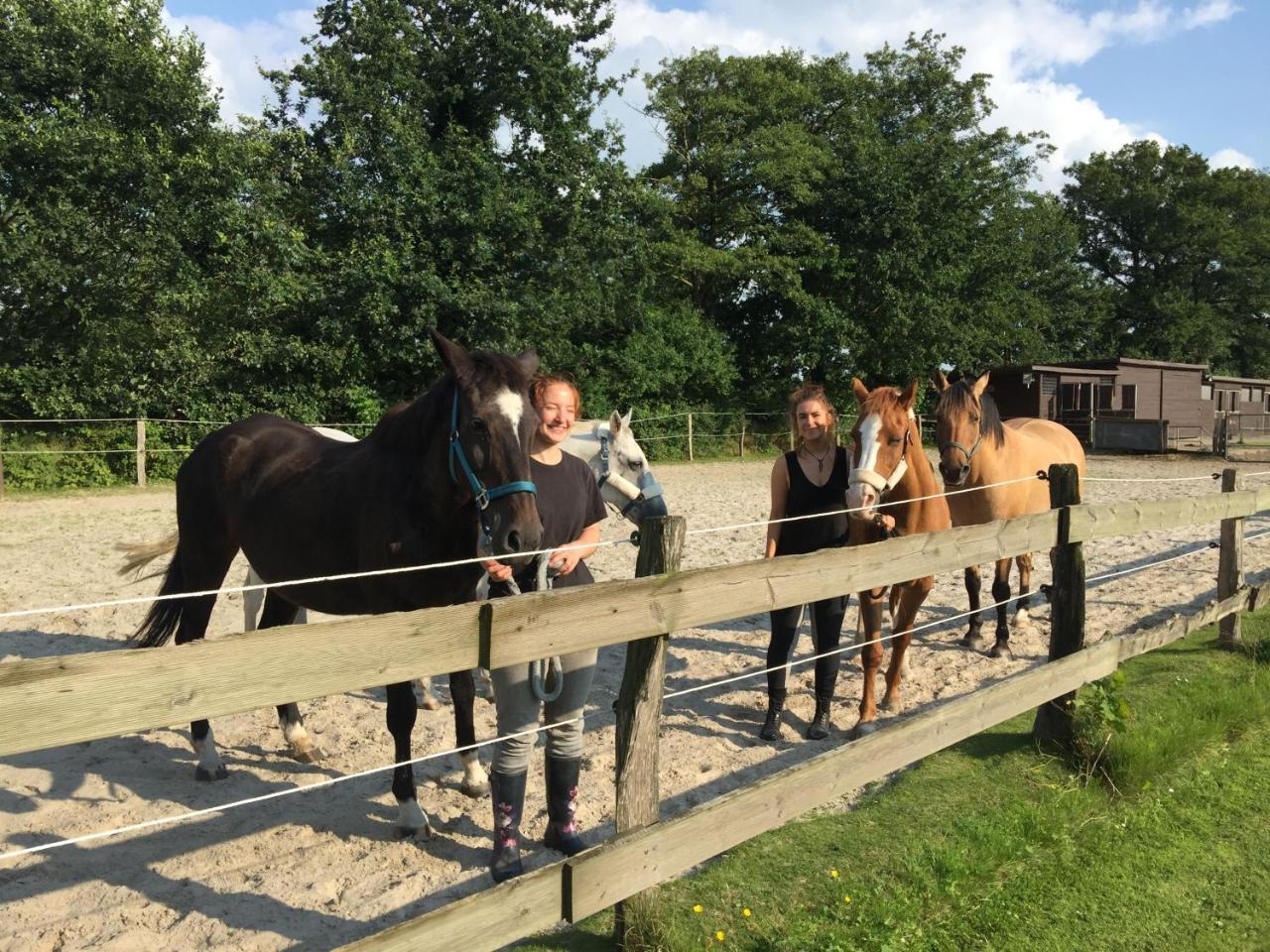 Ferienhof Welsch — Mittegrossefehn