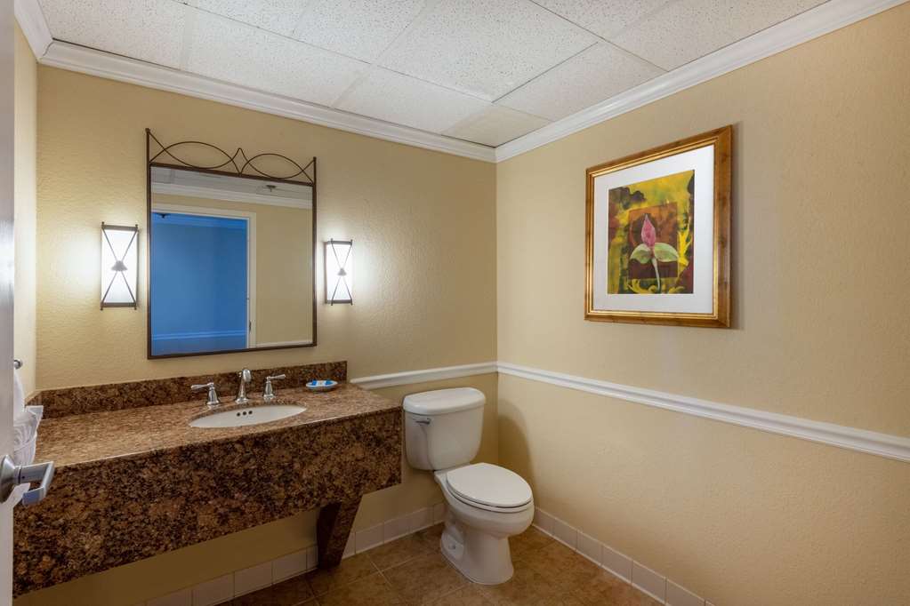 Safety Harbor Resort & Spa Trademark Collection by Wyndham - photo 24