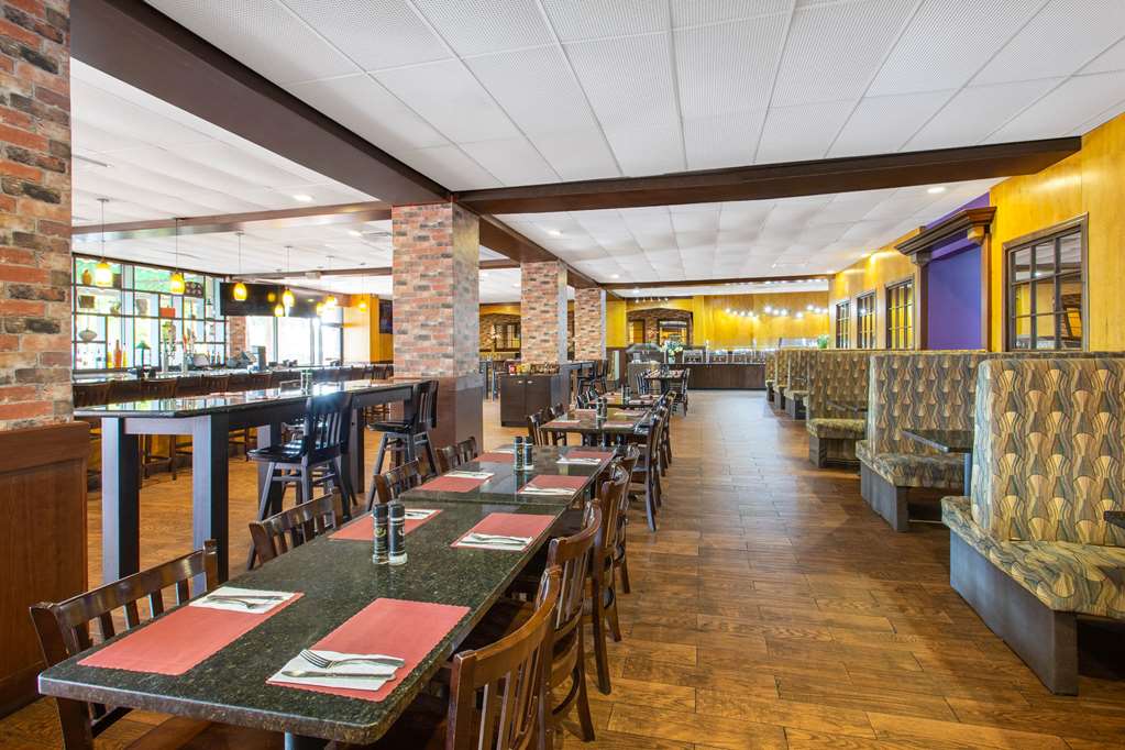 Ramada by Wyndham Tampa Westshore Airport South - photo 14