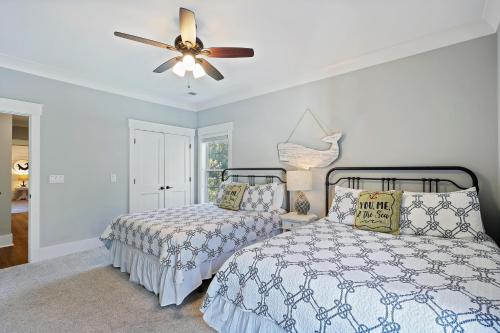 19 Sand Dollar - photo 41
