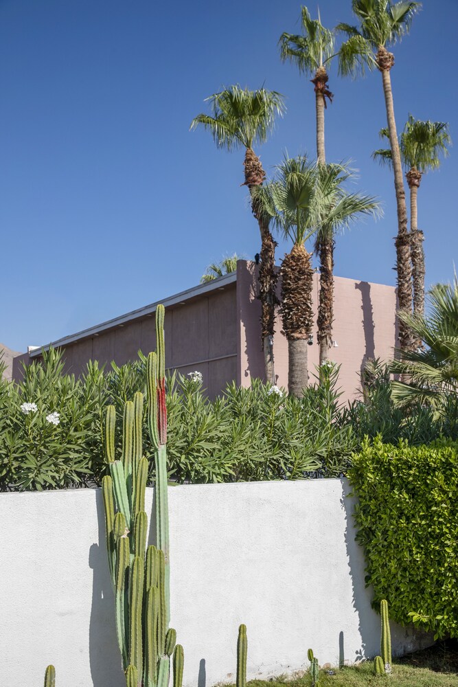 Inn at Palm Springs - photo 41