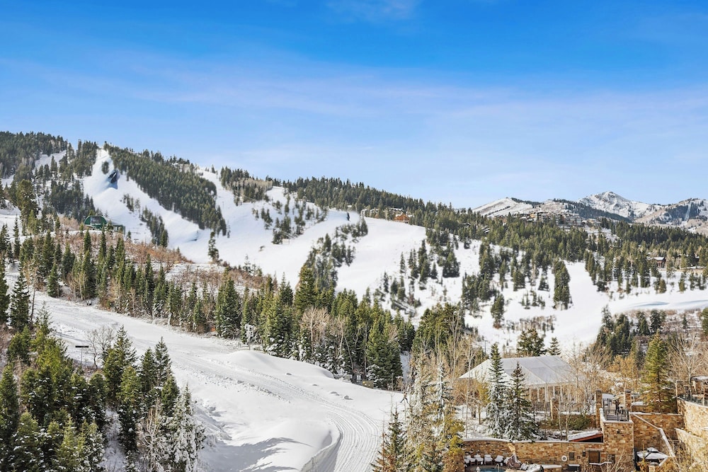 The St. Regis Deer Valley - photo 82