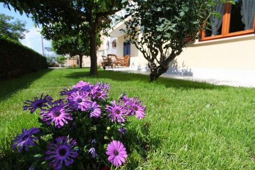 Antares Apartments — 4-Star Luxury Hotel in Cavtat, Croatia