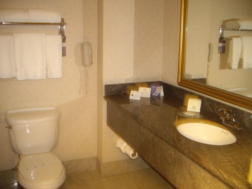 Holiday Inn Express Hotel & Suites El Centro by IHG - photo 4