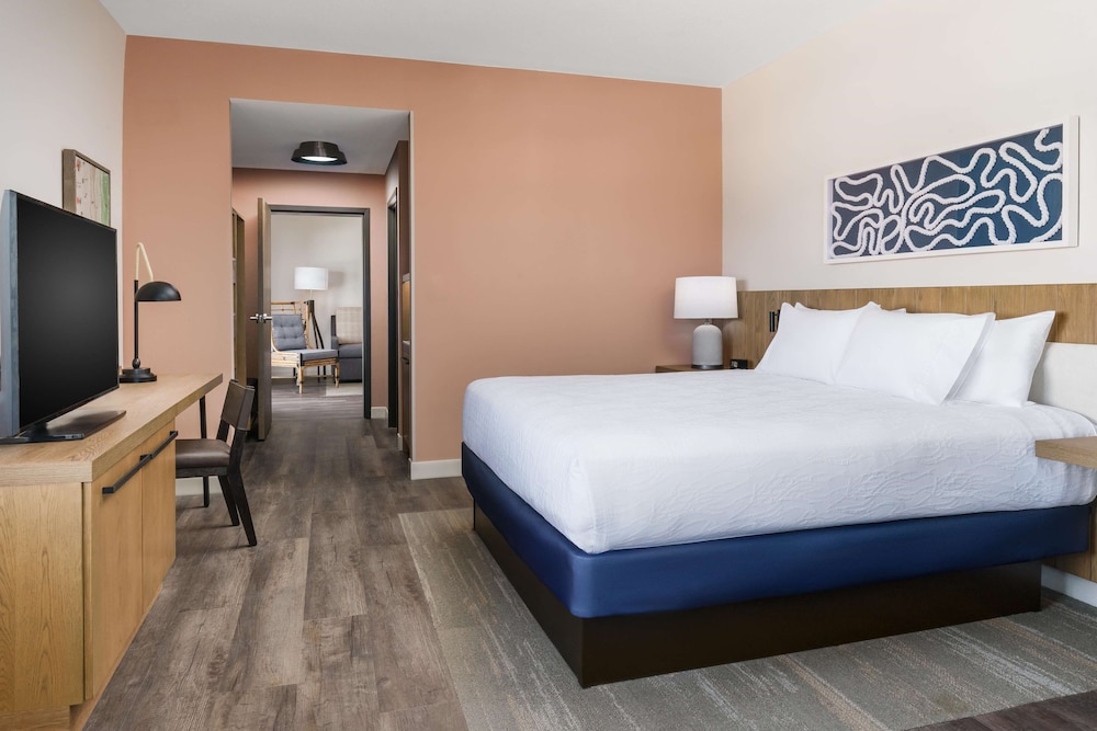 Hilton Garden Inn St. Pete Beach - photo 14