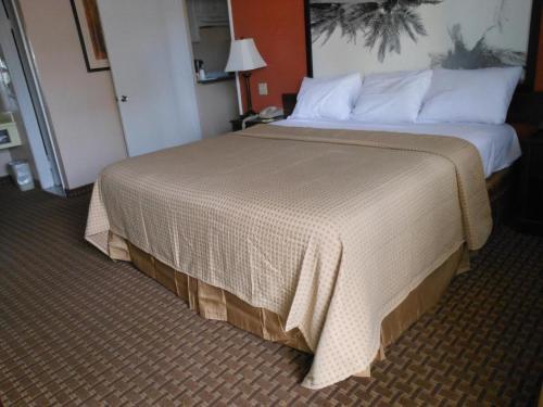 Super 8 By Wyndham El Centro - photo 10
