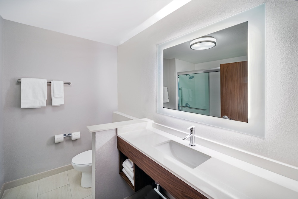 Holiday Inn Express & Suites Houston Downtown North by IHG - photo 24