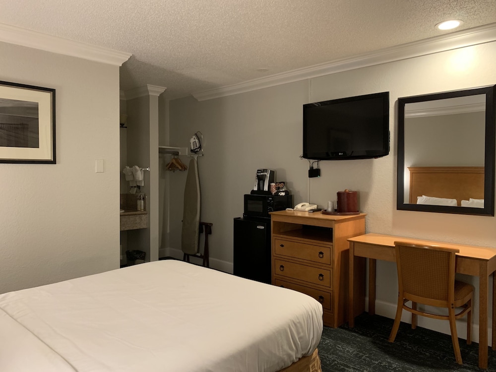 Stargazer Hotel - photo 7