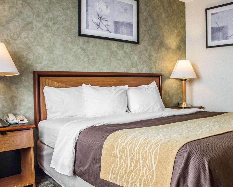 Comfort Inn Brooklyn - photo 17