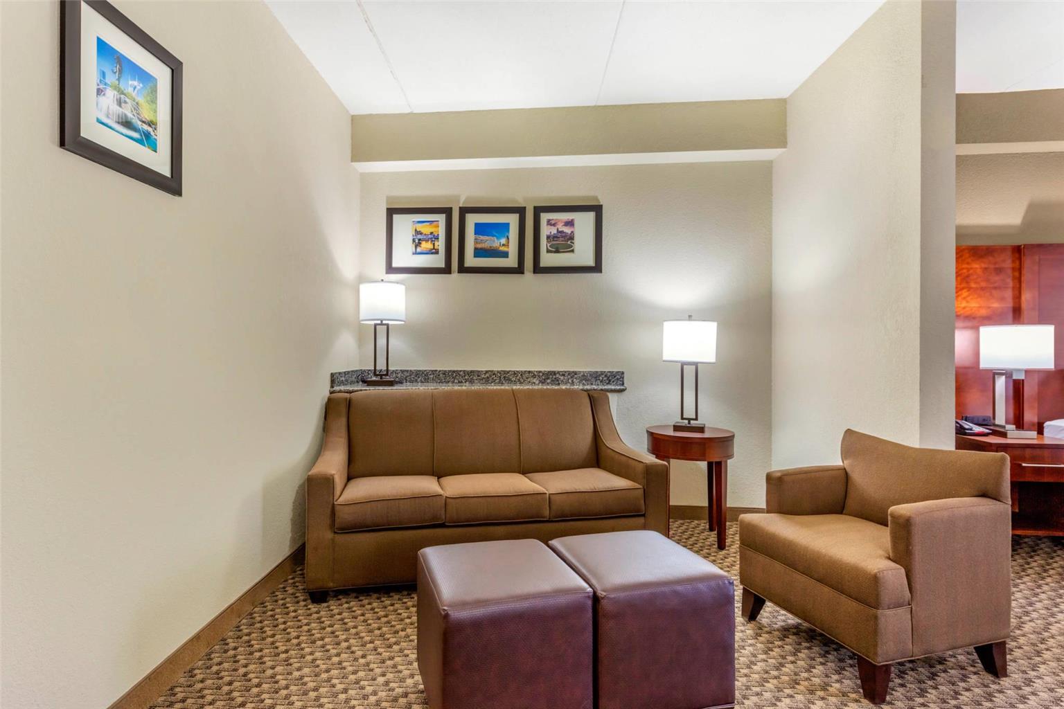 Comfort Suites Smyrna Nashville Area - photo 25