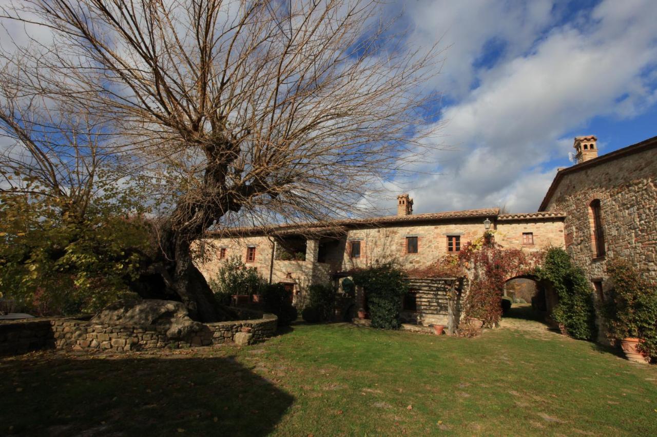 Antico Gelso — Todi