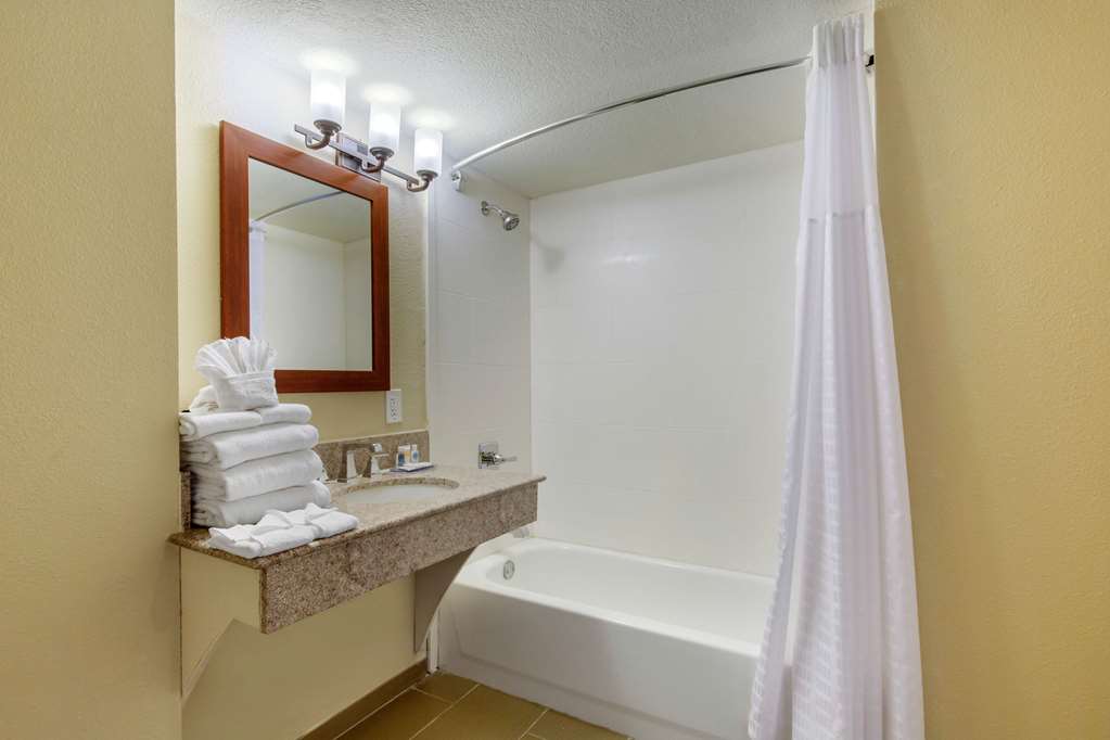Comfort Inn & Suites SW Houston Sugarland - photo 12