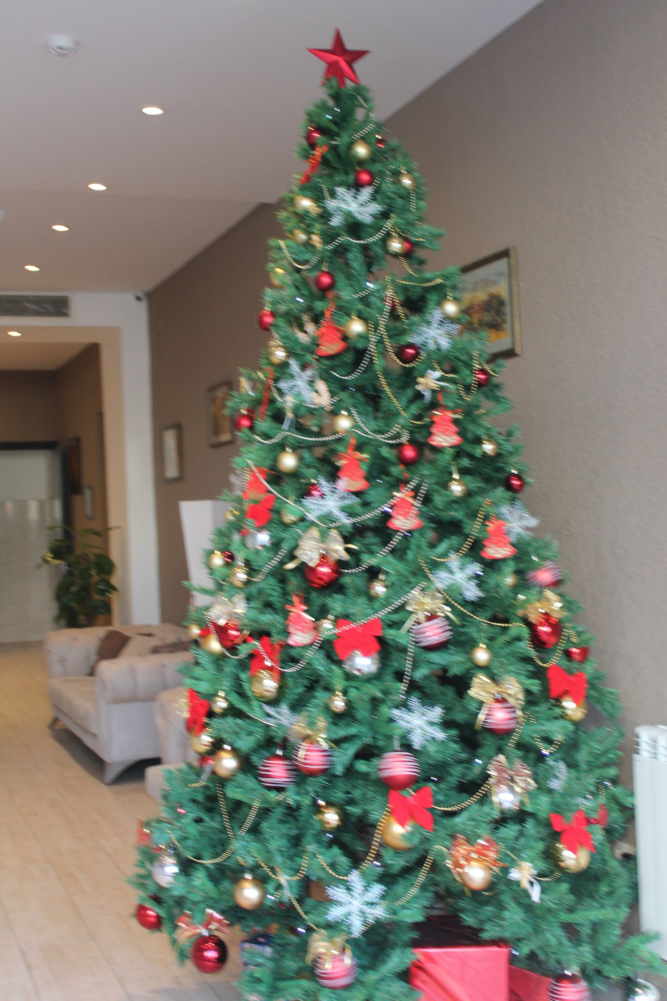 Gsg Hotel — Tbilisi — photo 5