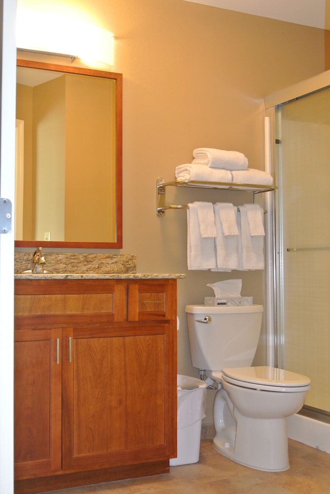 TownePlace Suites by Marriott Birmingham South - photo 22