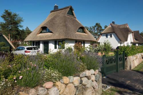 Ferienhaus Seeadler 9 — 4-Star Luxury Hotel in Zingst, Germany