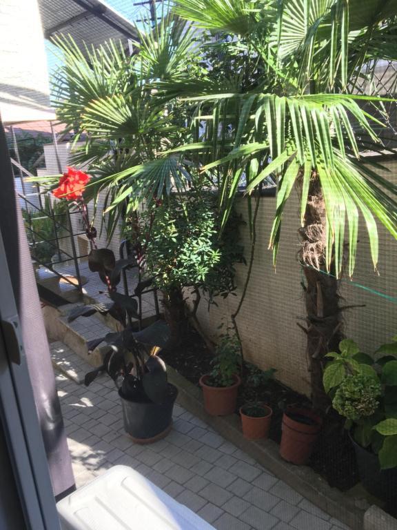 10 b shindisi street Tbilisi