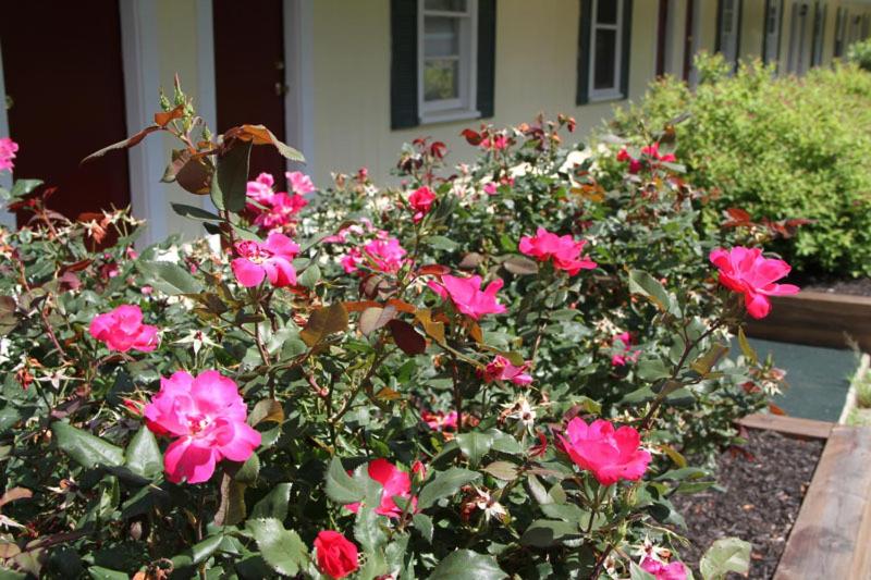 The Lodge at Kennebunk - photo 13