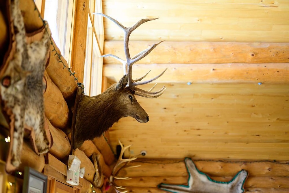 Lochsa Lodge Resort - photo 266