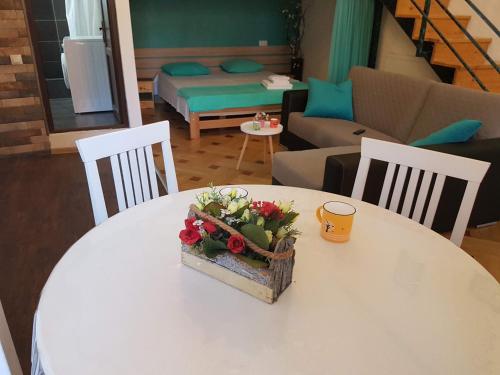 Comfortable Flat in Central Tbilisi