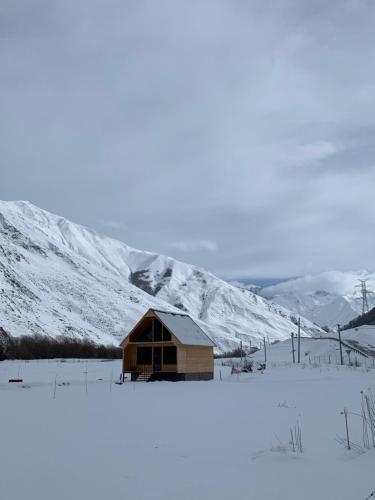 Cottage Aisi კოტეჯი აისი