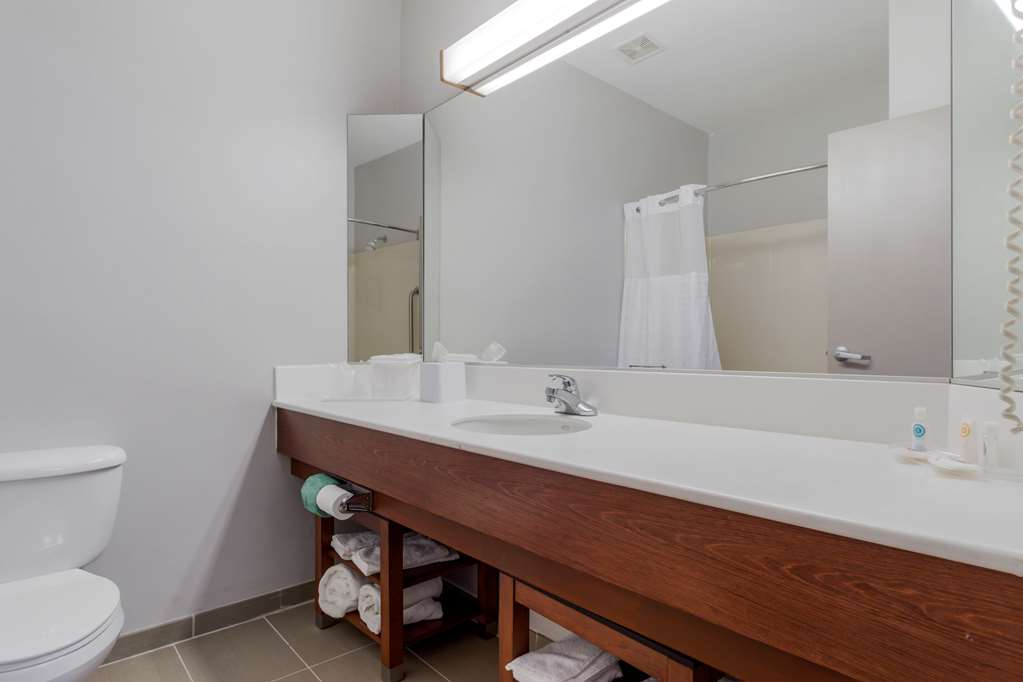 Comfort Suites La Porte Baytown - photo 34