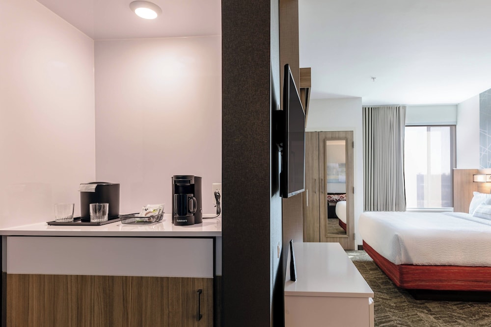 SpringHill Suites by Marriott Columbia - photo 31