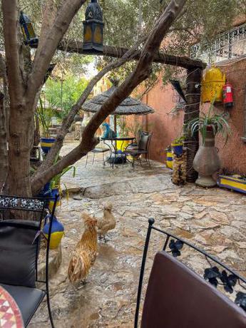 Auberge le Refuge — Agadir — photo 2