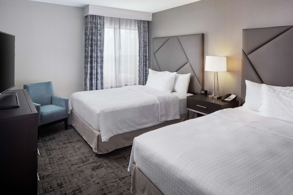 Homewood Suites by Hilton Atlanta Lenox Buckhead - photo 11