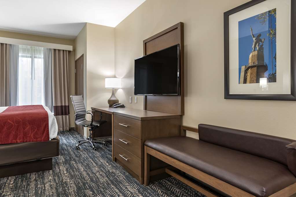 Comfort Inn & Suites Downtown near University - photo 18