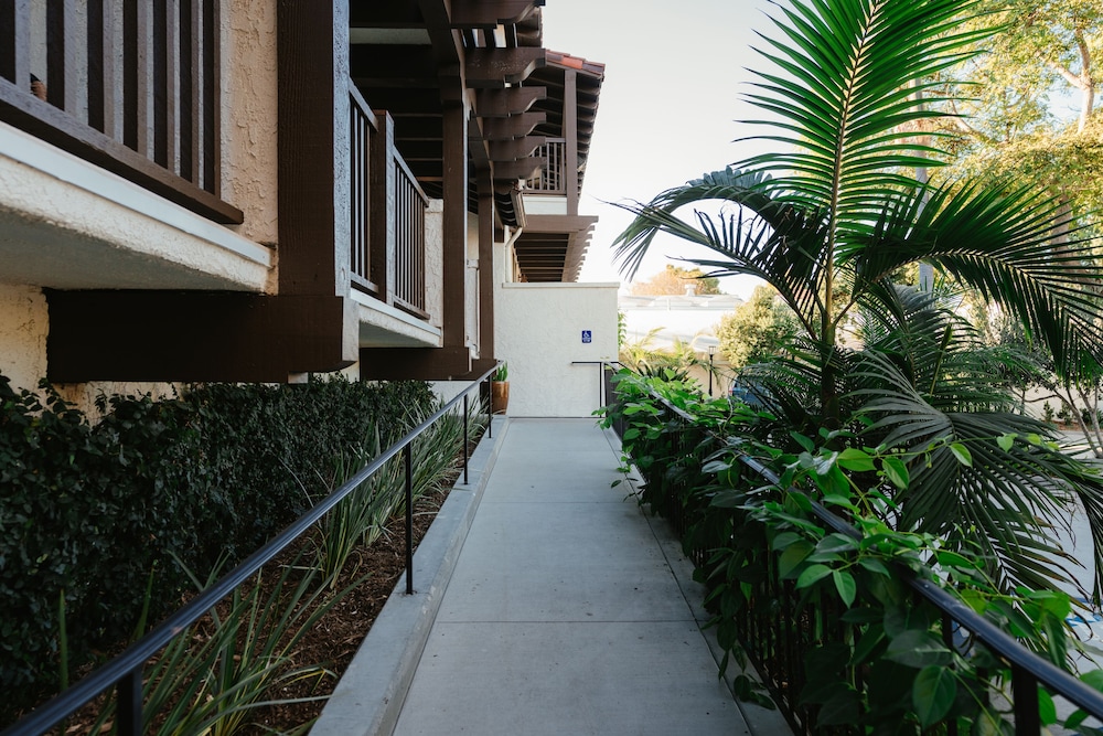 Palmoro House - photo 14