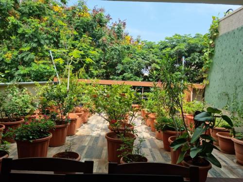 Terrace Garden — 4-Star Luxury Hotel in Hyderabad, India