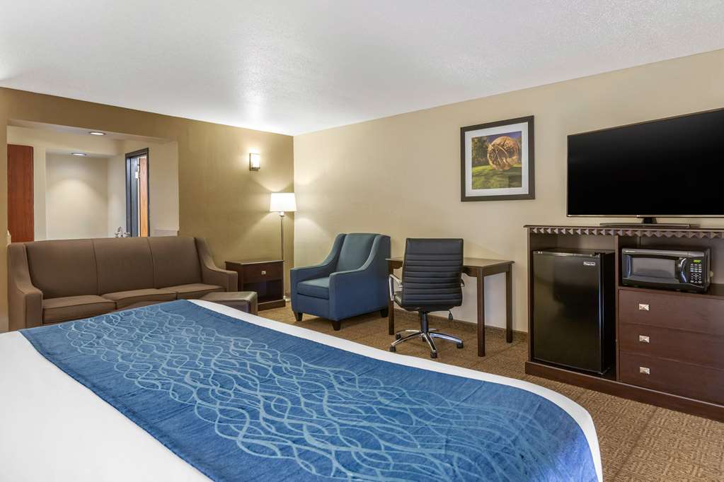 Comfort Inn Grand Rapids Airport - photo 8