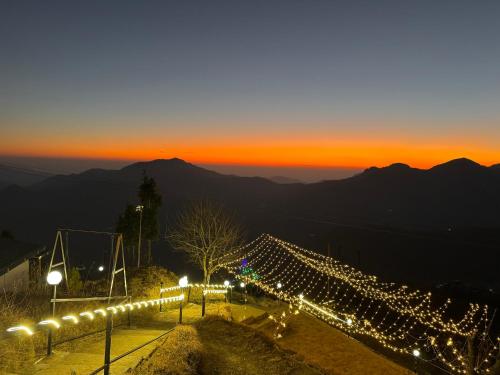The Deodar Stays — Unknown City — photo 5