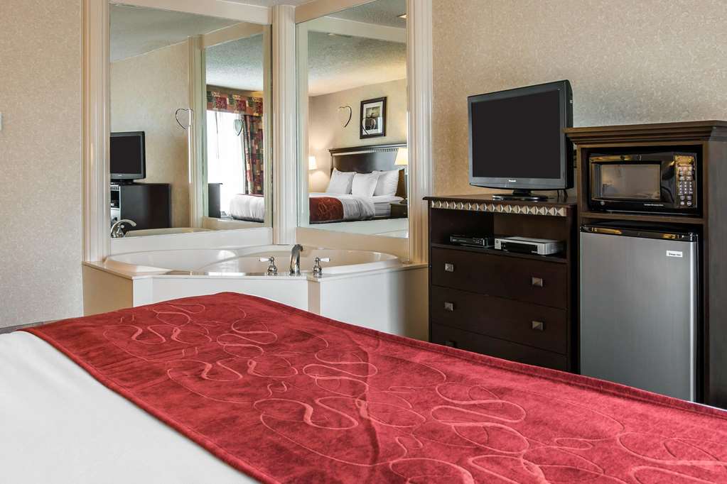 Comfort Suites Canton Detroit - photo 10
