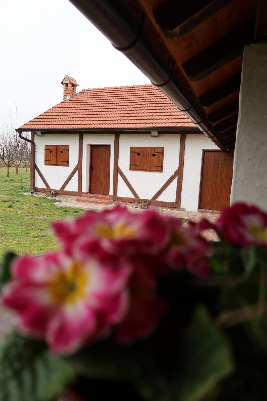Kuca Za Odmor Drava - last minute hotel in Unknown City