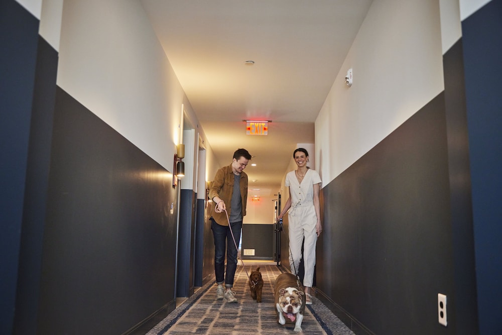 The Junto Hotel - photo 197