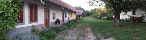 Rigófütty Vendégház — Tiszaalpar — photo 5