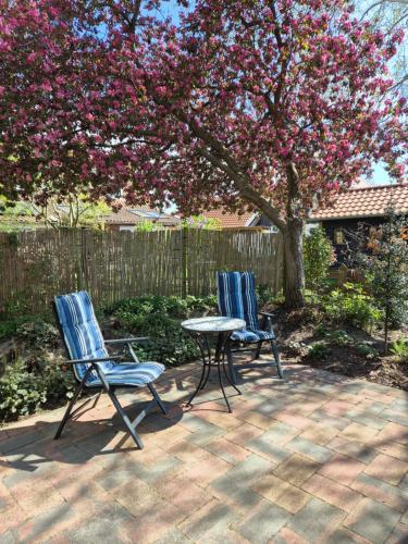 Vakantie Ouddorp — Ouddorp
