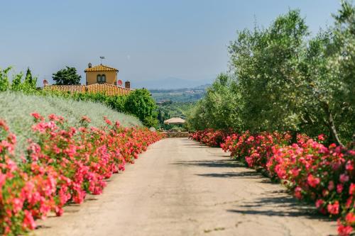 Sole Del Chianti — Tavarnelle Val Di Pesa