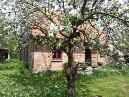 Ferienhaus Apfelhof - last minute hotel in Unknown City