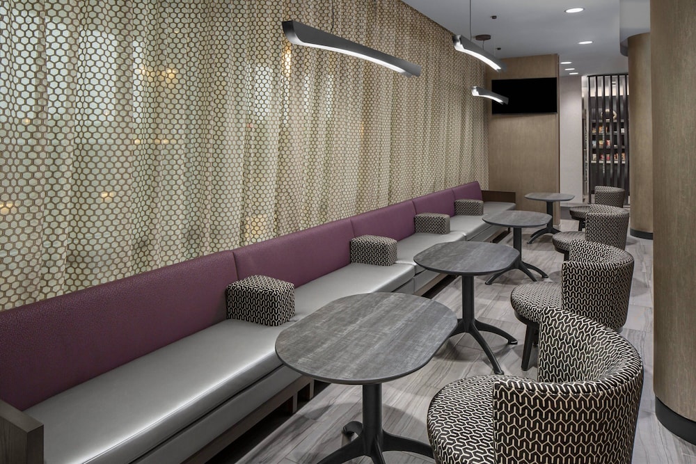 SpringHill Suites by Marriott East Rutherford Meadowlands Carlstadt - photo 28