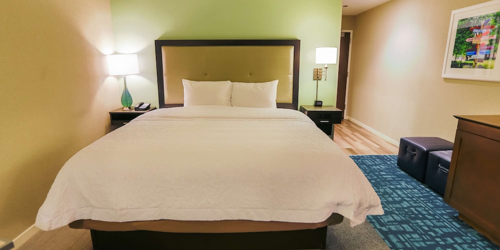 Hampton Inn & Suites Charlotte Ballantyne - photo 19