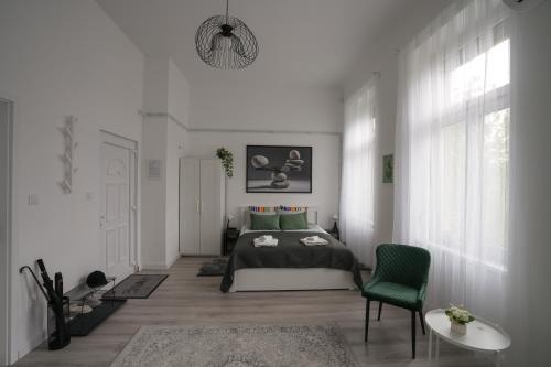 Beautiful newly refurbished studio fully equipped apartment walking distance to the City Park where you will find the world famous Szechenyi thermal bath spa Museums and the Capital Circus AC smart TV high speed internet — 4-Star Luxury Hotel in Budapest, Hungary