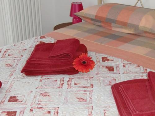 Nora House — 4-Star Luxury Hotel in Savona, Italy