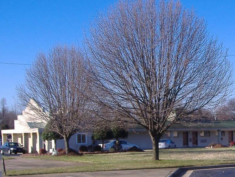 Regency Inn & Suites Greensboro - featured photo